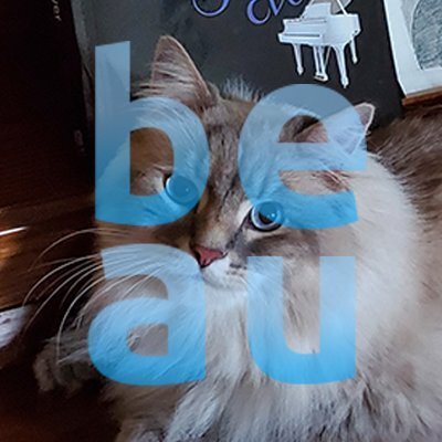 just beau thoughts