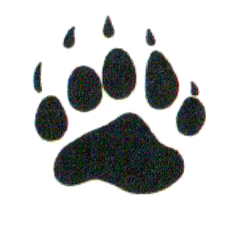 Zydecopaws