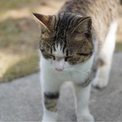 sbird's avatar