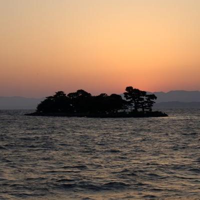 Birdwatching Goes Both Ways