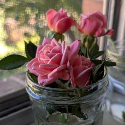 finn1066@ohai.social