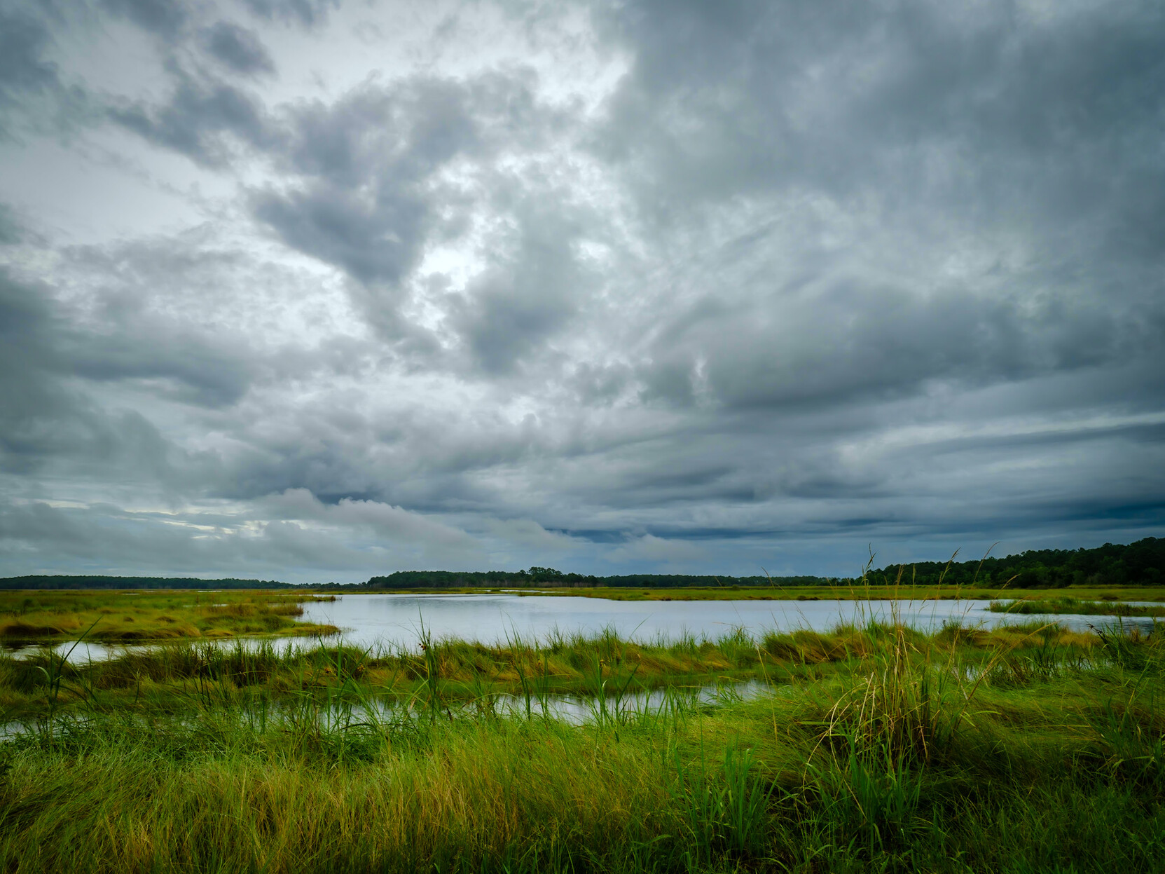 Bear island, Green pond, South Carolina low country wetlands