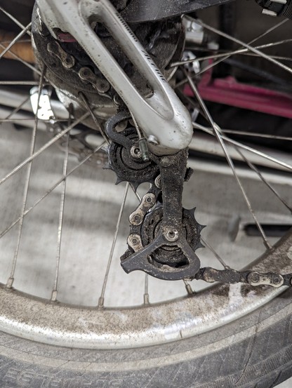A 2-pulley chain tensioner and chain feeding a Shimano 11-speed internally geared hub.

The teeth on the pulleys have been worn to points and are caked in gunk where the chain does not engage, while the chain itself has gunk accumulated on the inner plates and some of the outer plates.