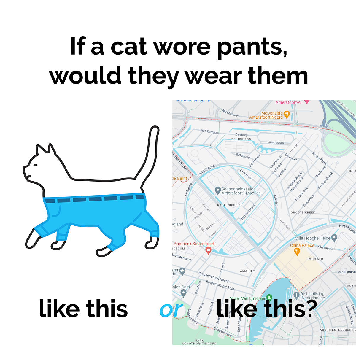 If a cat wore pants, would they wear them like this

[Image of a cat wearing pants in a kind of weird way]

or like this?

[map of kattenbroek]