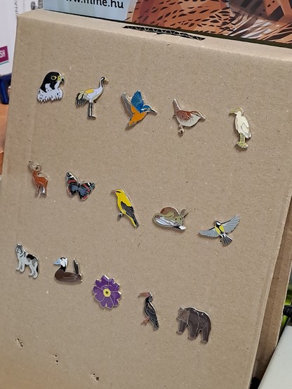 Enamel pins lined up on a cardboard sheet at the shop. They represent various animals, including a wolf, a brown bear, a golden oriole, a wren, a deer, a blue tit, a kingfisher, and a crane.
