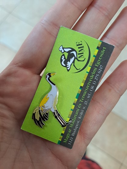 The crane enamel pin up close (common crane). It is pinned on a green piece of paper with the logo and info of MME (the Hungarian Ornithology Society).