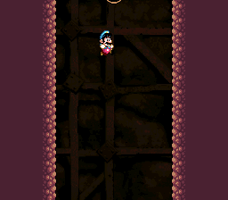 Mario falls down to a lower level 