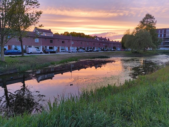 Picture of a sunset over houses, and a lake mirroring the view.