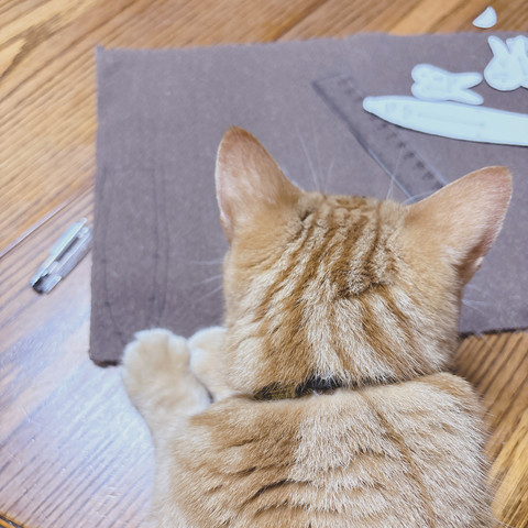 こげ茶色のモヘア生地、テディベアの型紙、黒ペン、オレンジとベージュのしま模様の猫の後頭部が写っている