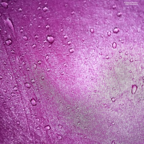 View from below of a piece of the rain-covered, open umbrella.