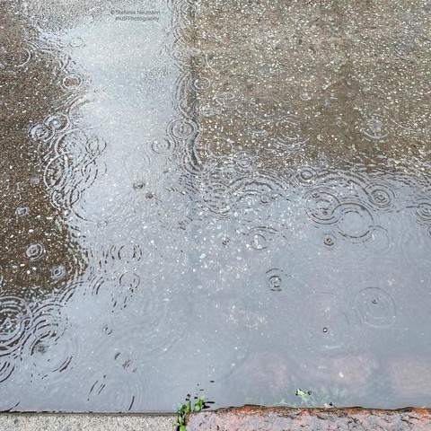 Raindrops hitting a puddle by the wayside.