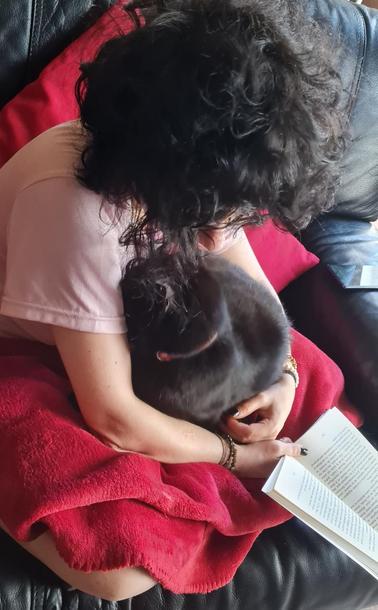 Chat noir dans les bras d'une fille assise