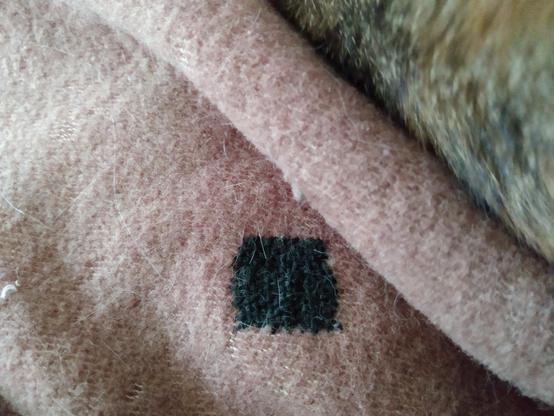 Reddish wool blanket with a small, square(ish) black patch with a few cat hairs on it. To the right is the source of the hair.