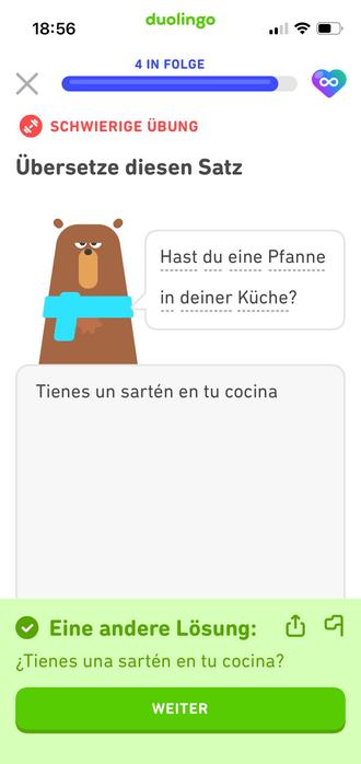 Übersetze diesen Satz: hast du eine Pfanne in deiner Küche? 
Meine Übersetzung für eine Pfanne: un sarten. 
Duolingo sagt: richtig, andere Lösung: una sarten
