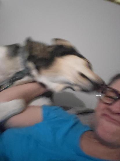 Blurry photo of a dog going in for a kiss while I'm pushing her away with my face scrunched up.