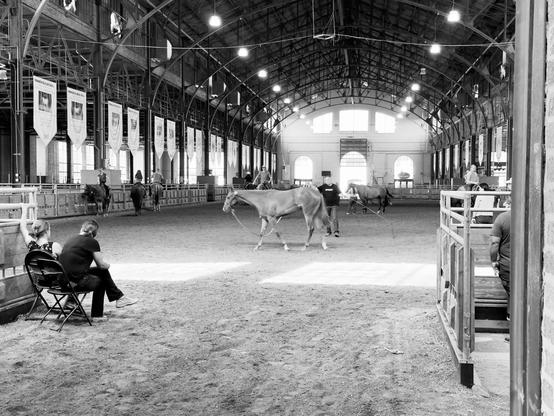 In a giant barn a man walks a horse in a circle around himself. A black and white photograph. Sunlight hits the ground in the foreground through two rectangular windows.