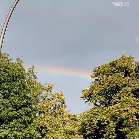 A rainbow, visible between trees.