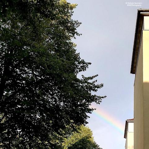 A rainbow, visible between trees and houses.