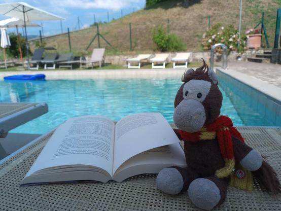 Reisepferdich liest am Pool ein Buch