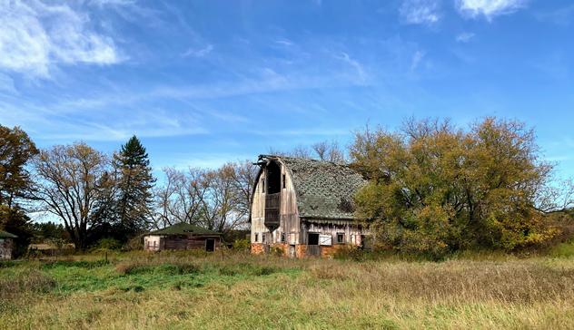 A farmstead, unoccupied for at least a decade.   Many farms are failing, unable to compete with big business.   The land is sold but the homestead is abandoned.