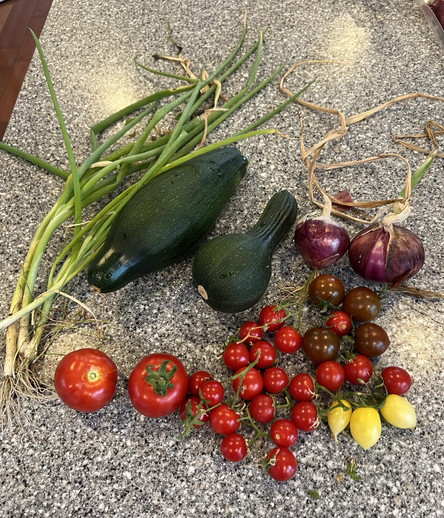 Scallions, zucchini, red onions, three types of cherry tomatoes and Oregon spring variety. 