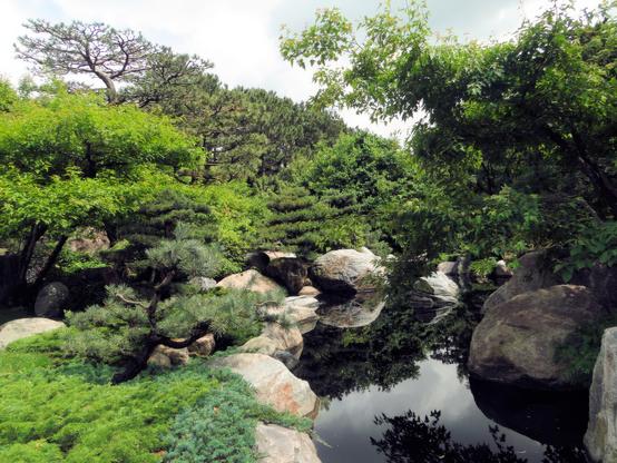 Boulders line a complex waterway, with pines and ground cover - not entirely in a Kyoto style, but in an entirely appropriate-to-place style, with Minnesota native plants, by the noted Nagasaki landscape designer Masami Matsuda