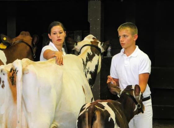 Zwei Bauernkinder in rein weißen Richteruniformen, ihr Vieh wird gesäubert und gebürstet. Eines meiner Lieblingsbilder.