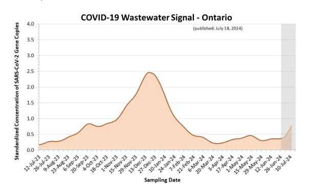 Graph showing COVID-19 wastewater signal in Ontario, with standardized concentration of SARS-CoV-2 gene copies on the y-axis and sampling dates from July 2023 to July 2024 on the x-axis. The winter 2024 peak appears in the centre of the graph. Summer 2024 wave points sharply upwards on the right.