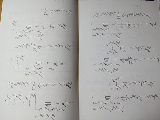 Pages 24 and 25 if a math dissertation consisting entirely of math formulas, among them symbols of summation (many) and integrals (less so), and oh so many letters.