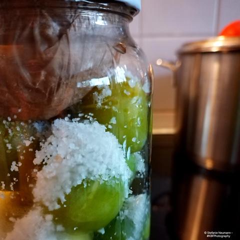 Whole greengages and coarse sea salt in a jar, pushed down with a weight to start boshi.