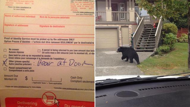 Image 1
Canada Post Form:
Specify reason mail could not be delivered - 