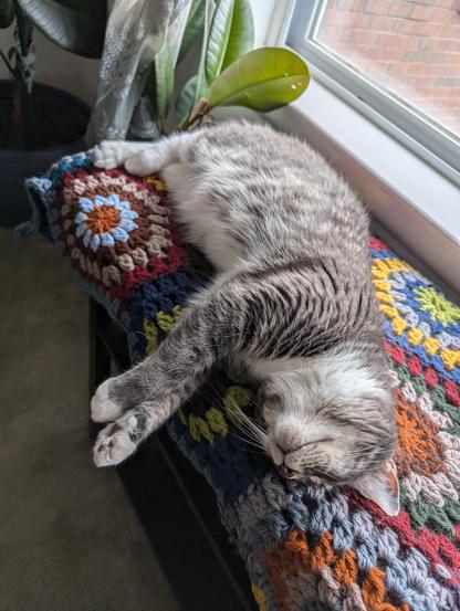 Tabby cat snoozing on afghan with front paws out straight across the edge