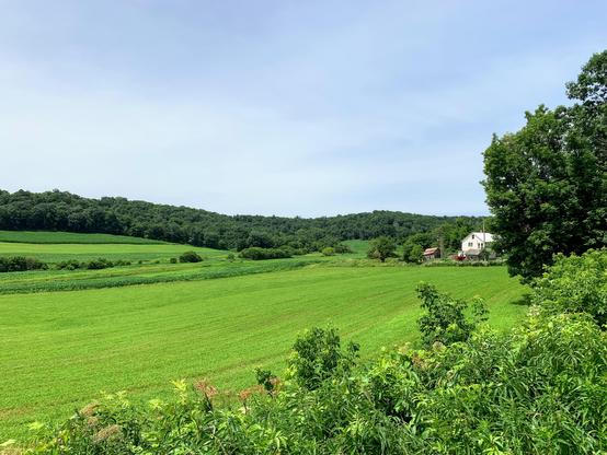 South of Augusta, Wisconsin.  A long one point perspectiva using the plowing lines of the field leading to the farmhose.  The ridgeline at the horizon is too steep to farm and is left in forest.