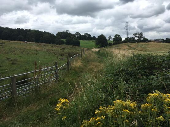 Footpath between two fields with ominous clouds overhead 