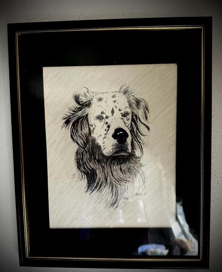 Framed pen drawing of a dog. She is white with black spots, long hair on ears and chest 