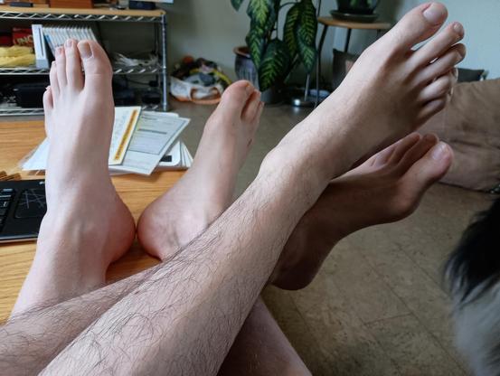 Two pairs of intertwined feet and hairy legs