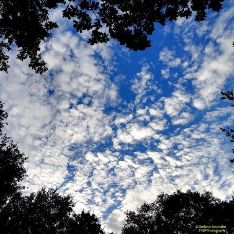 A blue sky with little, fluffy, while clouds that shape at least two hearts.