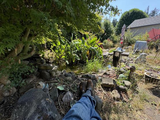 Person lounging in a garden by a pond with lush greenery, rocks, and garden decorations around.