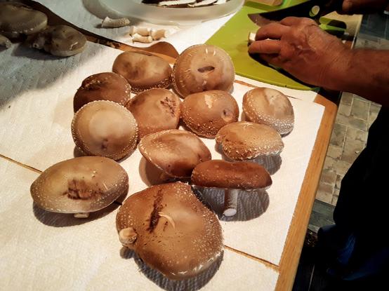 Shiitake mushrooms being prepared for dehydrating. 