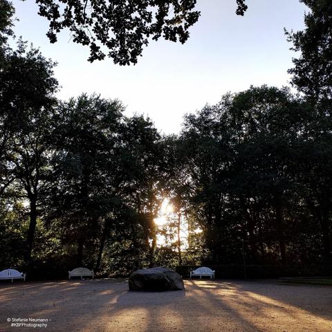 The evening sun shines through trees that surround the park entrance. In the middle of the space is a boulder. At the rim are white, wooden benches. The ground is sandy.