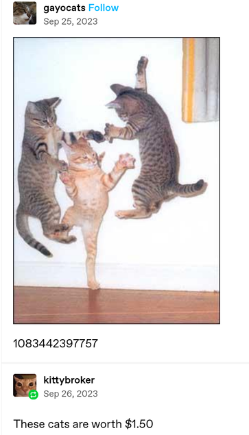 kittybroker Sep 26, 2023: These cats are worth $1.50 
Three young cats are playing mid-air. From left-right: a tabby, an orange tabby (with one paw on the ground!), and another tabby.