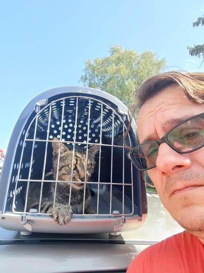 The little gray tabby cat in a transporter with a paw sticking out and a guy with glass frowning next to the car. What a team! 😅