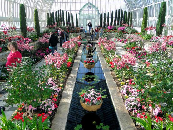 Eine große Überdachung aus Glas und Stahl für einen beheizten Ziergarten. Hinten stehen zu beiden Seiten einer Glastür und eines Glasportals 22 kleine Eiben. Stufen führen zu einem langen Pardes-Pool im Persan-Stil mit etwas, das wie Petunien in Töpfen und Wasserbecken aussieht. Der Pool spiegelt das gewölbte Dach wider, eine schöne Aussicht.

Ein Betonweg umgibt den Pool. Lilien und alle Arten von Frühlingsblumen sind zu sehen. Die Menschen sind in diesem Kontext wunderschön. Ich seufze und denke, dass ich vielleicht nie wieder ein so gutes Bild machen werde.