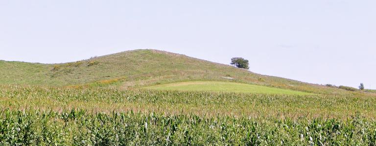 Two trees on the rim of a ridge.  