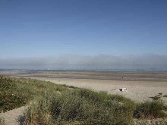 The beach view from a dune and its vegetation