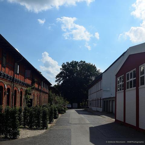 An asphalted street leading through heritage protected brick buildings from the 1920s to an oak tree. A blue sky with white clouds, above.