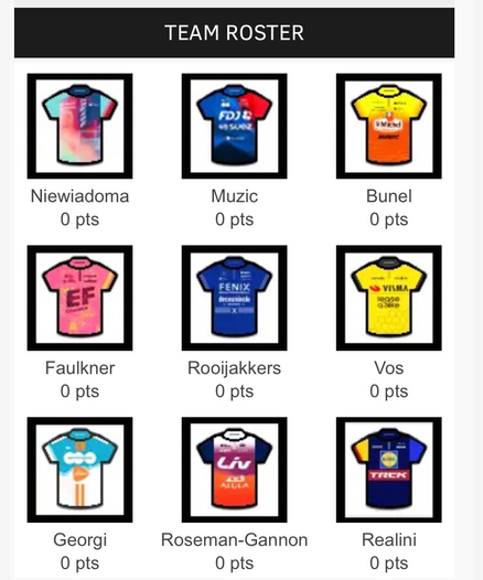 velogames team tour de france femmes. plänterwald cycling team. niewiadoma / muzic / bunel / faulkner / rooijakkers / vos / georgi / roseman-gannon / realini