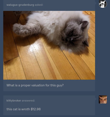 Tumblr User walugus-grudenburg submits their cat and asks 