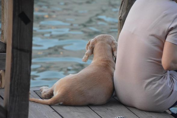 A beige dog next to a woman in a beige dress. They are sitting on a dock by water.