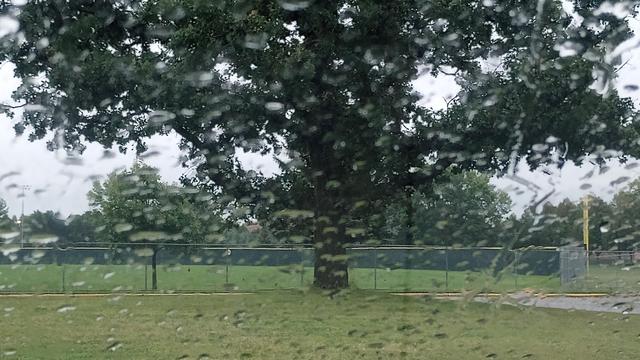 A sprawling oak with ball fields behind through a rainy windshield.